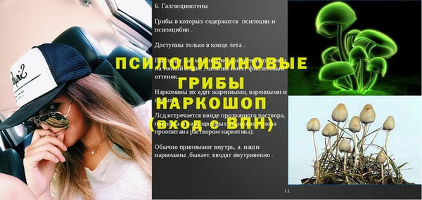 хмурый Балахна